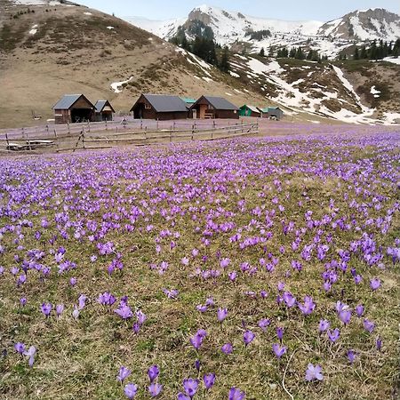 Katun Siska Medna Dolina Villa Berane Eksteriør bilde