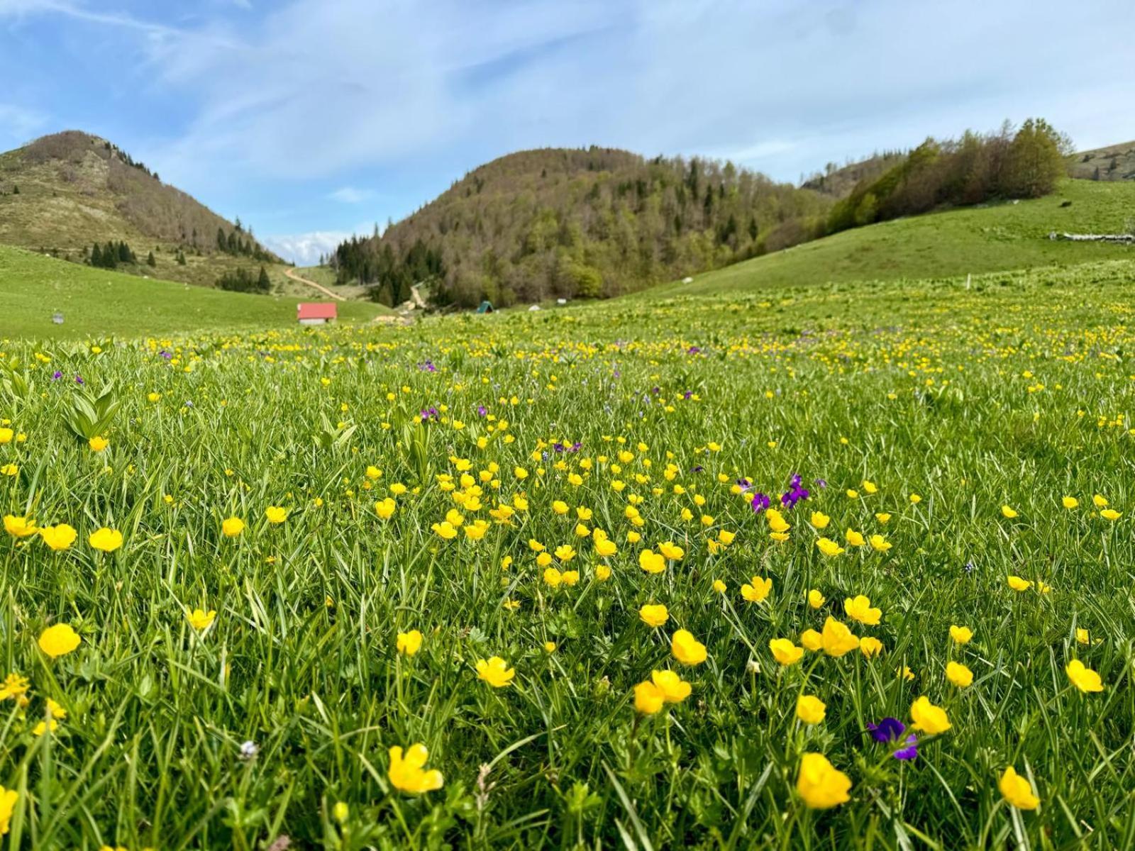 Katun Siska Medna Dolina Villa Berane Eksteriør bilde