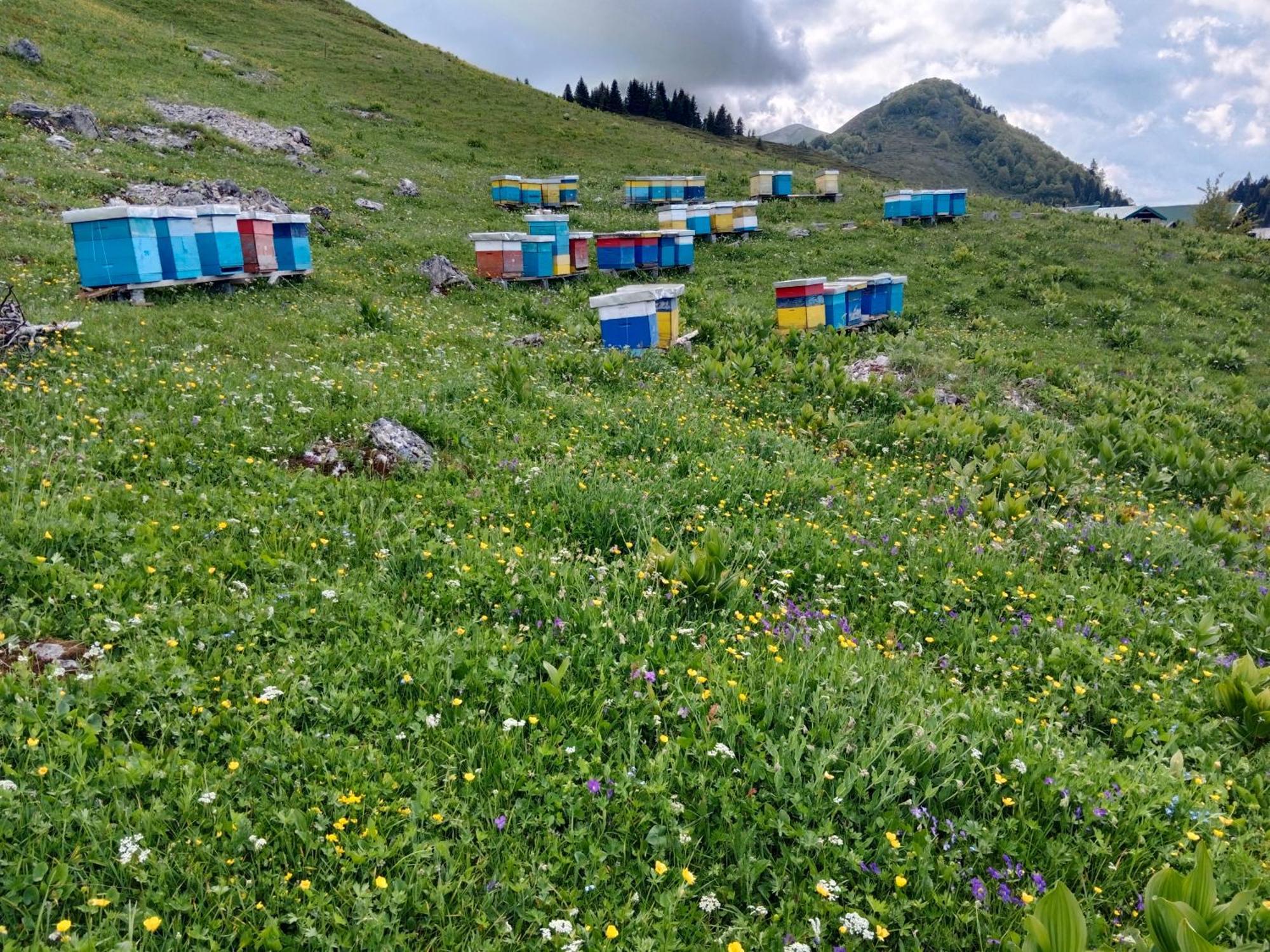 Katun Siska Medna Dolina Villa Berane Eksteriør bilde