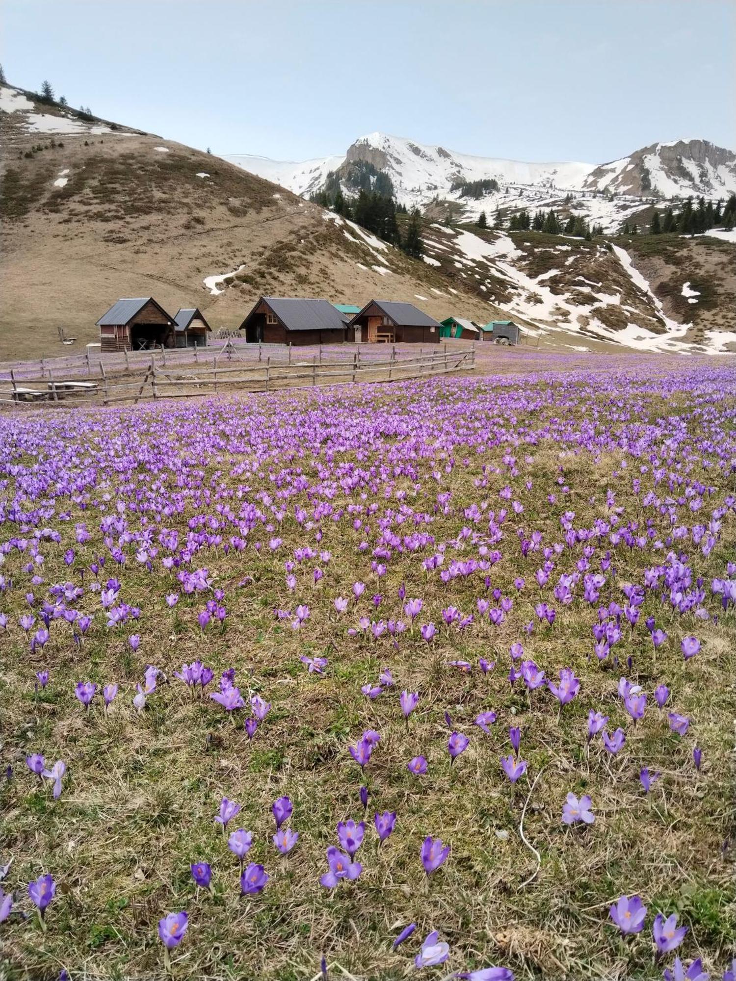 Katun Siska Medna Dolina Villa Berane Eksteriør bilde